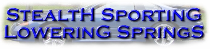 Stealth Sport Lowering Springs